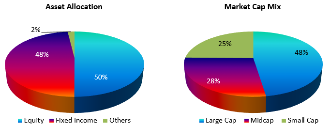 Asset Allocation and Market Cap Mix