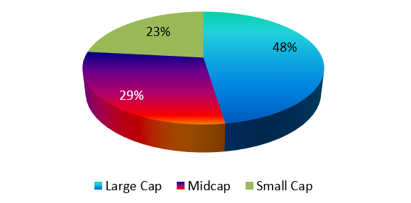 BSE Healthcare Index – Market Cap Segments