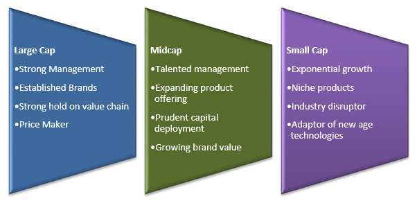 Multicap Strategy of LIC MF Multi Cap Fund