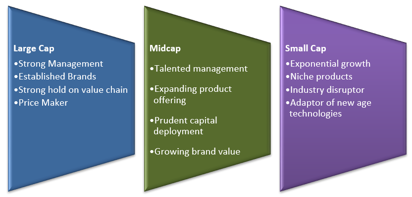 Multicap Strategy of LIC MF Multicap Fund