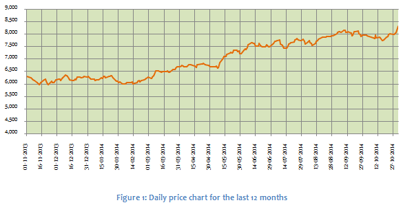 Equity Investing - The rally of the Nifty from 6,000 to current levels in the last one year Equity Investing - The rally of the Nifty from 6,000 to current levels in the last one year