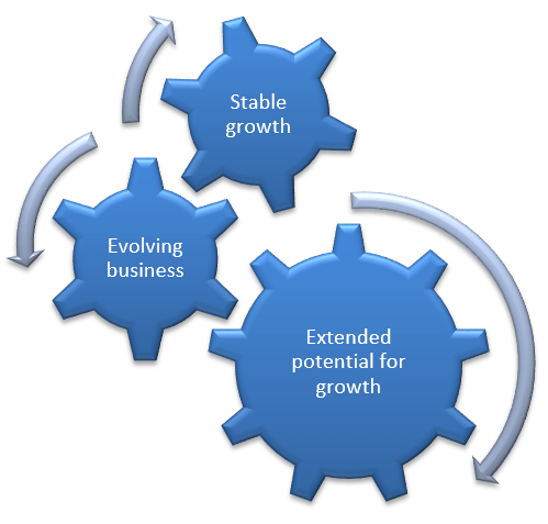 Mutual Funds - Bank of India Consumption Fund - Investment strategy