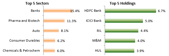 Top 5 Sectors and Top 5 Holdings of Bajaj Finserv Flexicap Fund