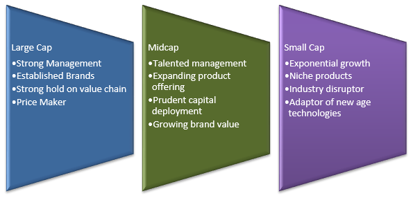 Multi Cap Strategy of LIC MF Multi Cap Fund