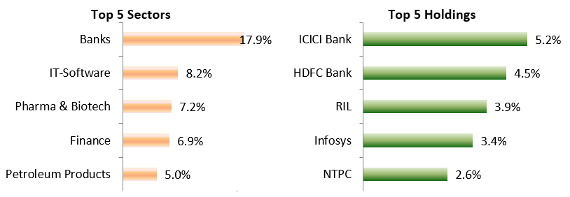 Top 5 Sectors and Top 5 Holdings of Kotak India EQ Contra Fund