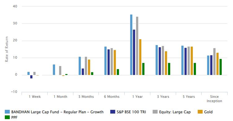 Outperformed the fund benchmark and category average