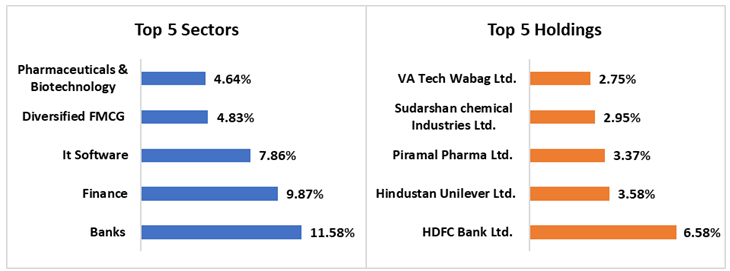 Top sector allocation and top 5 holdings