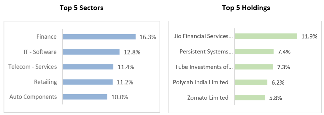 Top 5 Sectors and Top 5 Holdings of Motilal Oswal Flexicap Fund
